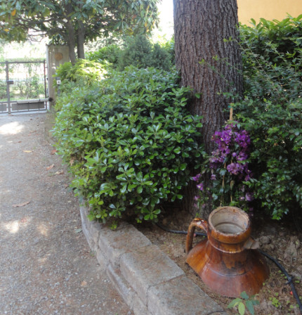 La casa Il giardino