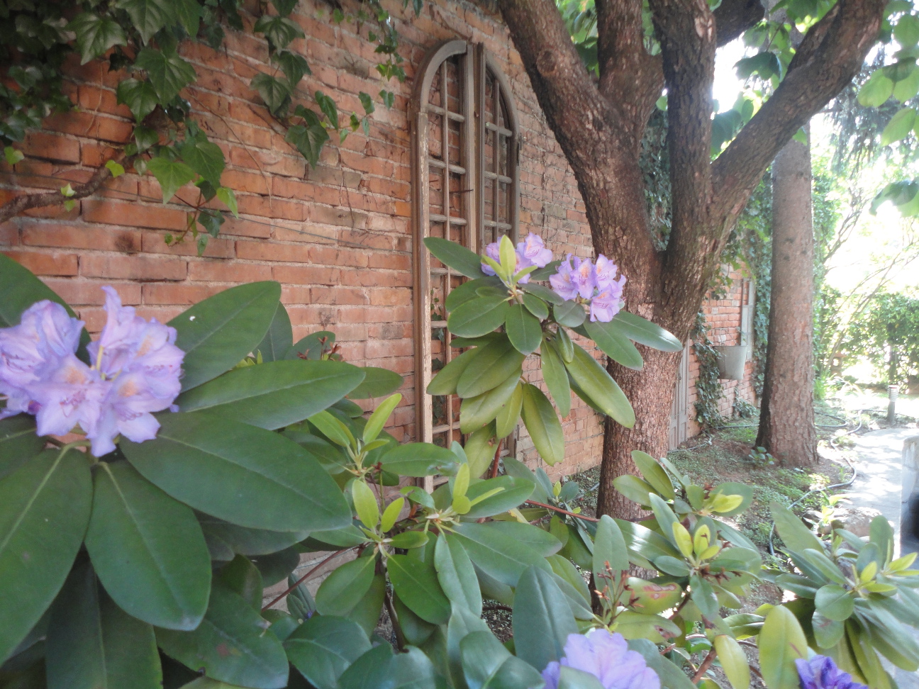La casa Il giardino